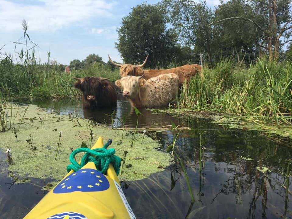 Rejs kajakiem po Odrze obfituje w ciekawe spotkania